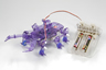 Stag Beetle 2 Channel RC